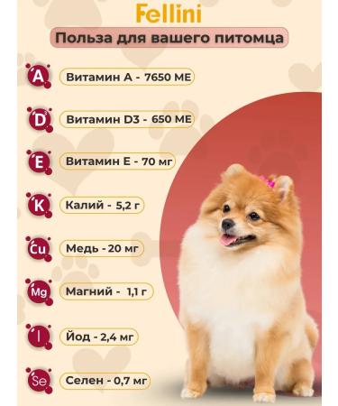 Fellini Dog food with beef and whole cereals2 kg - Buy Online on GoSupps.com