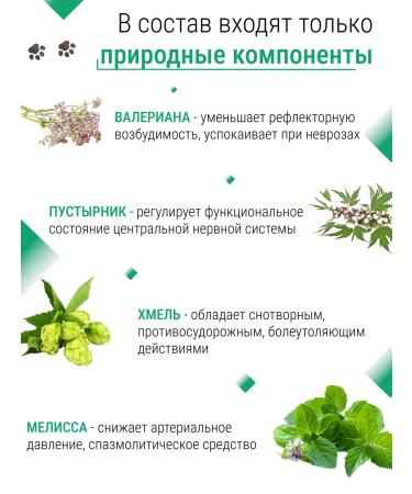 Sedeemer Drops remedy for stress estrus for cats - Buy Online on GoSupps.com