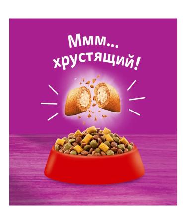 WHISKAS Dry food for cats beef 5kg - Buy Online on GoSupps.com