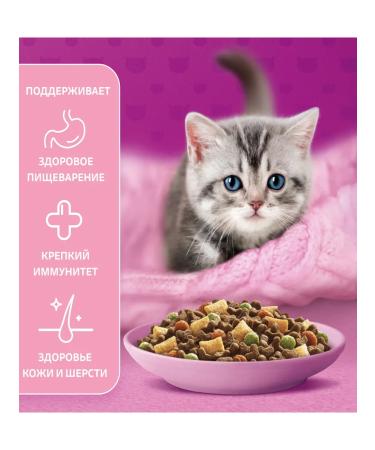 WHISKAS Dry food for kittens turkey and carrots 350 g - Buy Online on GoSupps.com