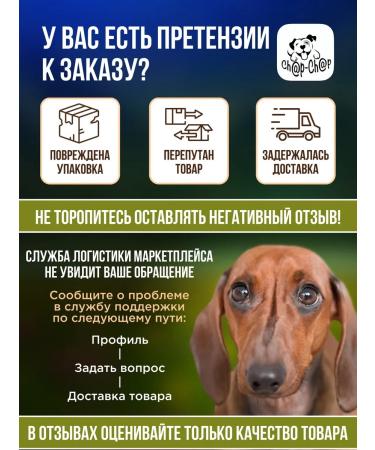 Altai Meat Processing Plant Treat for dogs beef light yummy ground 200g - Buy Online on GoSupps.com