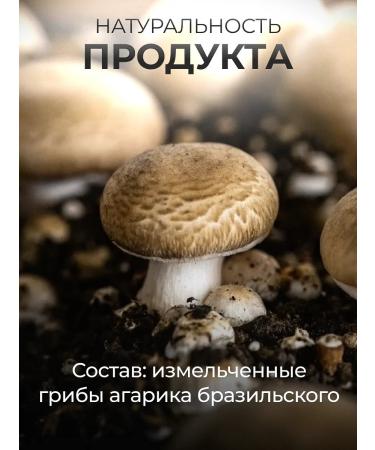 bee lab Agarik Brazilian mushroom 2 pcs. 180 caps - Buy Online on GoSupps.com