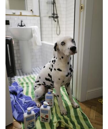 YIZO Container shampoo for dogs hypoallergenic 500 ml - Buy Online on GoSupps.com
