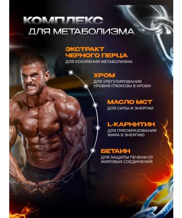 Scitec Nutrition Gainer Jumbo Hardcore 1530 g Chocolate - Buy Online on GoSupps.com