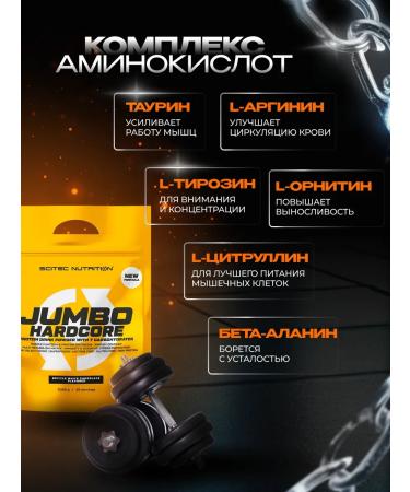 Scitec Nutrition Gainer Jumbo Hardcore 5355 g Chocolate - Buy Online on GoSupps.com