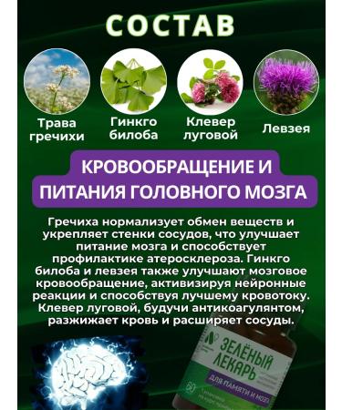 ALTAI NECTAR Complex for the brain and memory with ginkgo bilobe capsules - Buy Online on GoSupps.com