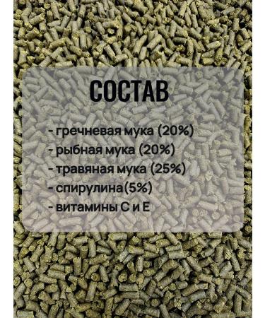 AQUAMENU Aquaman Pro GSK T Phytostix Fish Fish 100 g - Buy Online on GoSupps.com