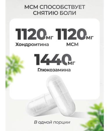 VitaMeal Glucosamine chondroitin and MSM for joints capsule - Buy Online on GoSupps.com