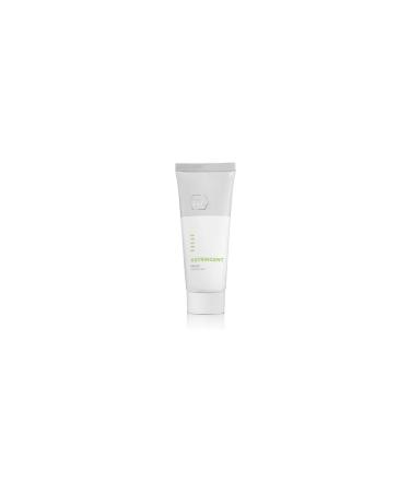 Holyland Laboratories Mask 70 ml face mask