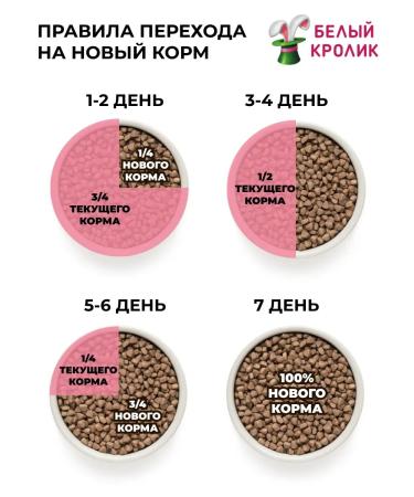 Grandorf Dry food for INDOOR cats with lamb and turkey 2kg - Buy Online on GoSupps.com