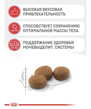 ROYAL CANIN Cat food dry sterilized 2kg - Buy Online on GoSupps.com