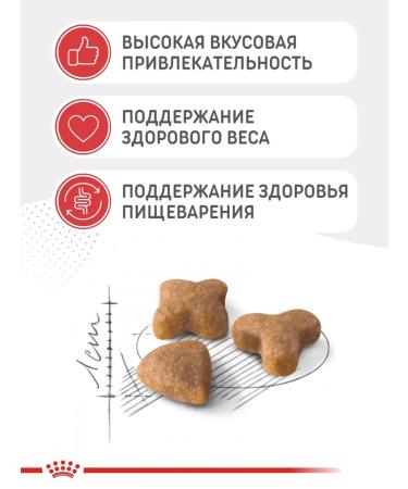 ROYAL CANIN Cat Feed dry Sensible 2kg - Buy Online on GoSupps.com