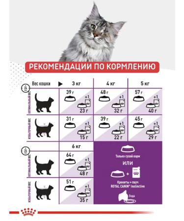 ROYAL CANIN Cat Feed dry Sensible 2kg - Buy Online on GoSupps.com