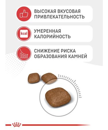 ROYAL CANIN Dry Cat Feed Urinary Care 2kg - Buy Online on GoSupps.com