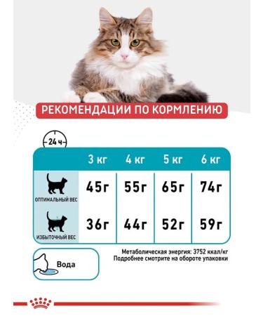 ROYAL CANIN Dry Cat Feed Urinary Care 2kg - Buy Online on GoSupps.com