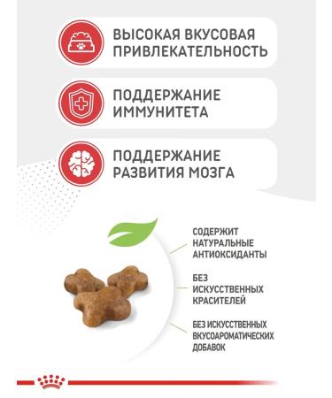 ROYAL CANIN Kitten Kitten 2kg Kittens - Buy Online on GoSupps.com