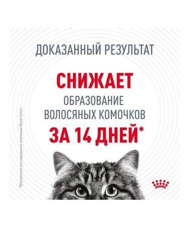 ROYAL CANIN Hairball Care Dry Feed for adult cats 400g - Buy Online on GoSupps.com
