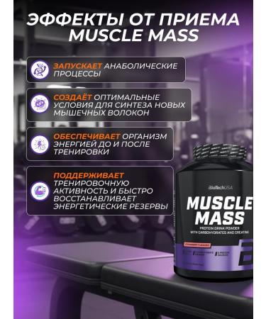 BioTechUSA Gainer Muscle Mass 4000 g. Strawberry - Buy Online on GoSupps.com