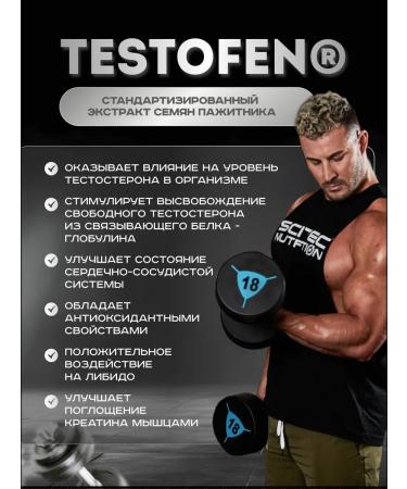Scitec Nutrition Testosterone booster macatron testobuster 108 caps - Buy Online on GoSupps.com