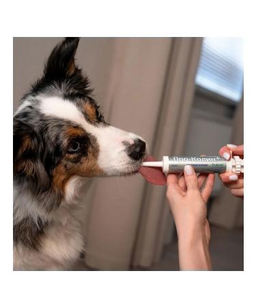 Protein Pro-Kolin Prokolin Probiotic additive for dogs and cats 60 ml - Buy Online on GoSupps.com