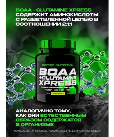 Scitec Nutrition BCAA + Glutamine BCAA + Glutamine Xpress 300 g apple - Buy Online on GoSupps.com
