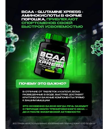 Scitec Nutrition BCAA + Glutamine BCAA + Glutamine XPress 300 g Babb Gas - Buy Online on GoSupps.com