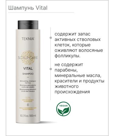 Lakme  - Buy Online on GoSupps.com