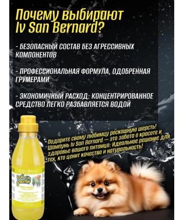 iv san bernard Shampoo from irritation and dandruff ginger and an elderberry 1 liter - Buy Online on GoSupps.com