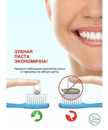 TWIN LOTUS Toothpaste "Herbal Original" with herbs 100 g*2pcs - Buy Online on GoSupps.com