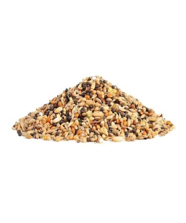 Channel food 1 kg - Buy Online on GoSupps.com