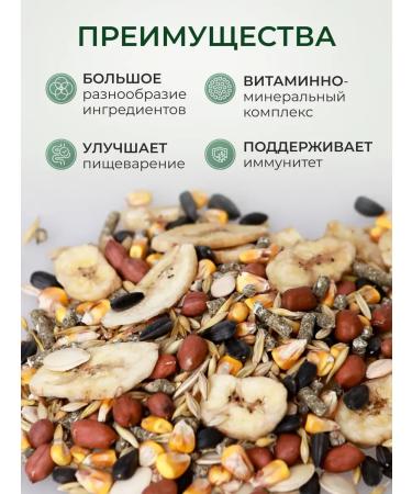 Natural dry food for rats and rodents 800 g - Buy Online on GoSupps.com