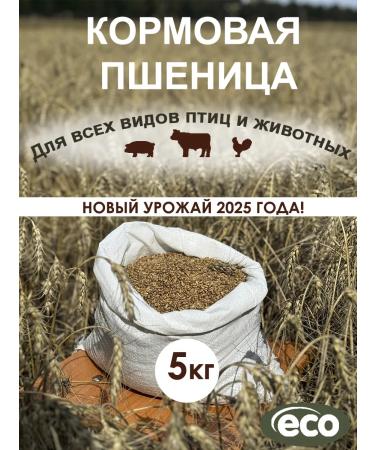 Siberian farmer Fodge wheat for birds and animals 5 kg