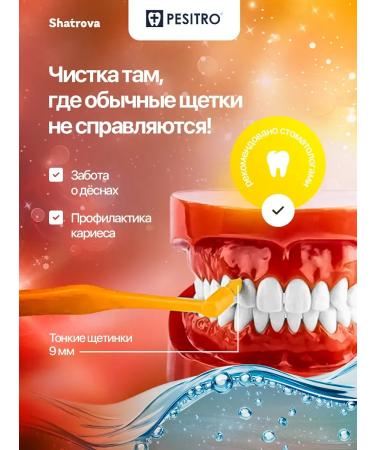 MONOWER TOLARD BRANCE BRANT 1680 9mm - Buy Online on GoSupps.com