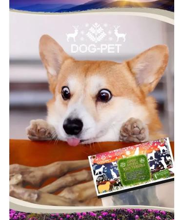 Baked lamb legs for dogs 6 pieces - Buy Online on GoSupps.com