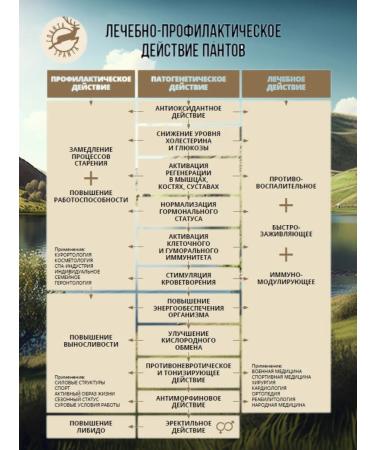 Panta marala powder in capsules - Buy Online on GoSupps.com