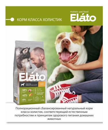 Elato Holistic dry food for medium and large dogs chicken 2kg - Buy Online on GoSupps.com