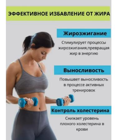 VPLab L carnitine cherry and blueberries 500ml - Buy Online on GoSupps.com