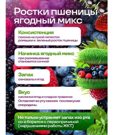 Live 200 Berry herbal not sweets mix of berries 20pcs - Buy Online on GoSupps.com