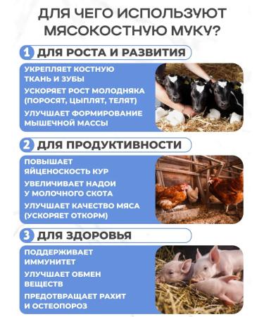 Sadovita Meat -bone flour 3 kg food for laying searches - Buy Online on GoSupps.com