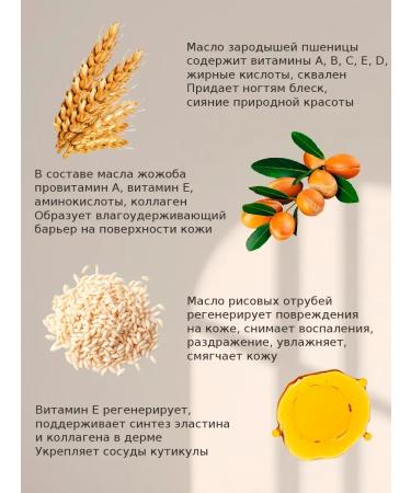 Circat and nails pencil - Buy Online on GoSupps.com