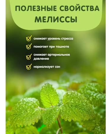 Tea in bags green with lemon balm natural 20 pcs our tea - Buy Online on GoSupps.com