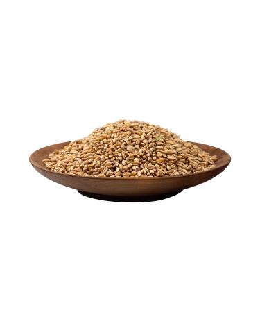 Rosagrozakaz Fodge wheat for birds and animals and germination 10 kg - Buy Online on GoSupps.com