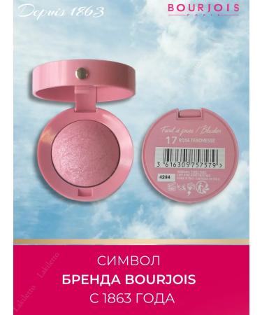 Bourjois Blusher blush tone 17 satin - Buy Online on GoSupps.com