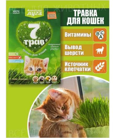 AnimadelicacieLabs Grass for cats seeds for germination 50g