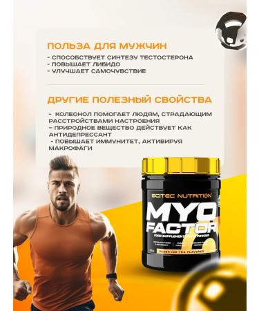 Scitec Nutrition Anabolic complex Myoofactor 285 Persian tea - Buy Online on GoSupps.com