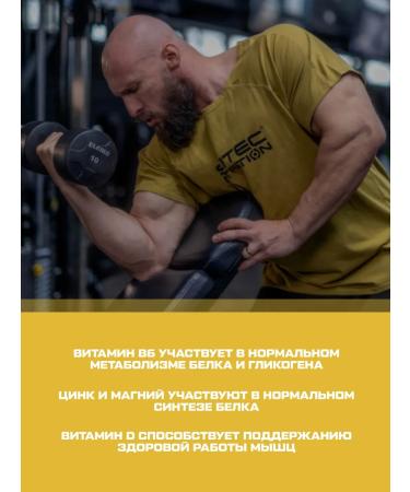 Scitec Nutrition Anabolic complex Myoofactor 285 Persian tea - Buy Online on GoSupps.com