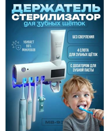 Holder sterilizer for dental brushes wall
