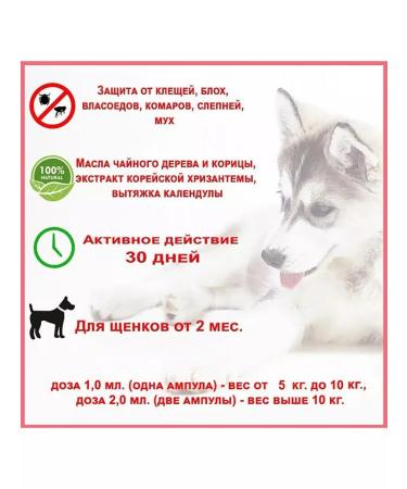 Biovax Drops from fleas and ticks for puppies 2 pcs - Buy Online on GoSupps.com