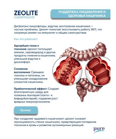 Pure Minerals Zeolite of food detox and cleansing the body in capsules - Buy Online on GoSupps.com