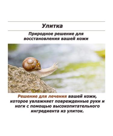 MIZON Snail Nutrient Cream for Hands and Feet with Snail mucin 200ml - Buy Online on GoSupps.com